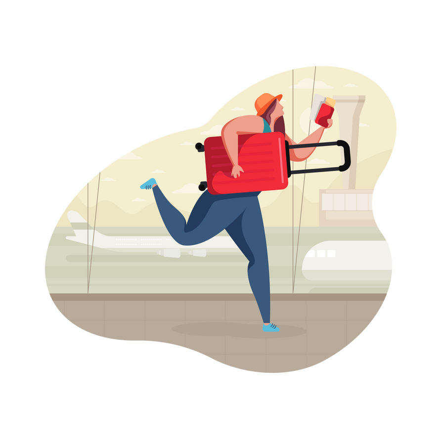 travelling luggage ariport